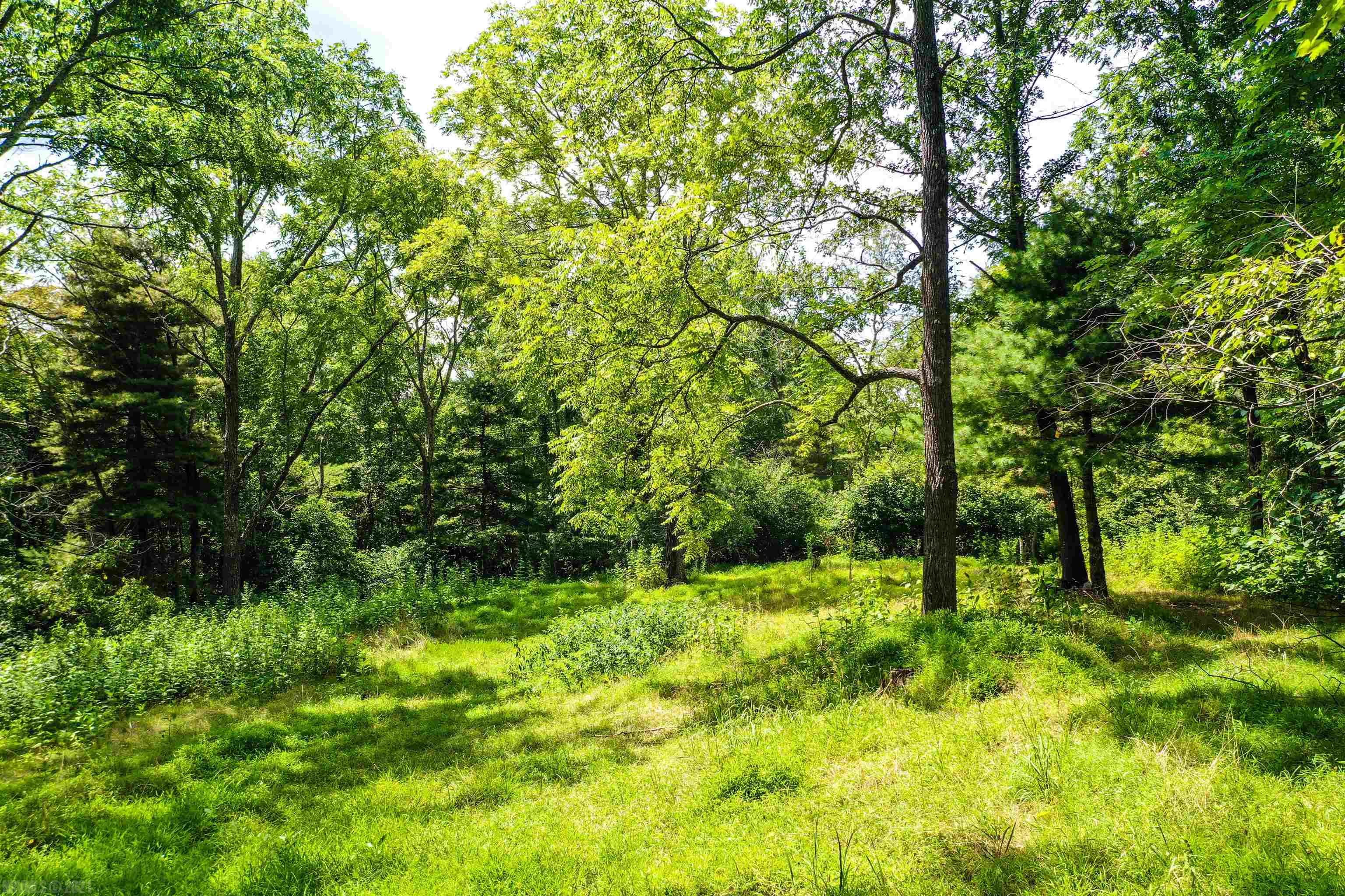 Tbd 68.5-ac Tbd 68.5-ac Berryhill Road Riner, VA 24149 - Photo 5 of 25 Gallery Image 5