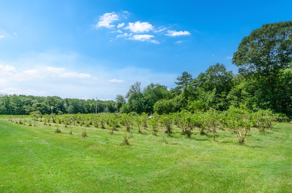 442 Horseneck Road Westport, MA 02790 - Photo 31 of 38