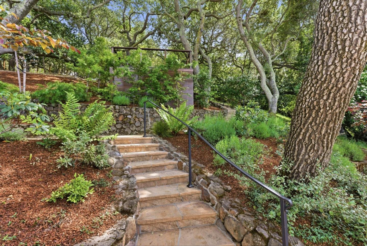 2884 Roland Avenue San Carlos, CA 94070 - Photo 6 of 27 a view of a yard with plants and large trees