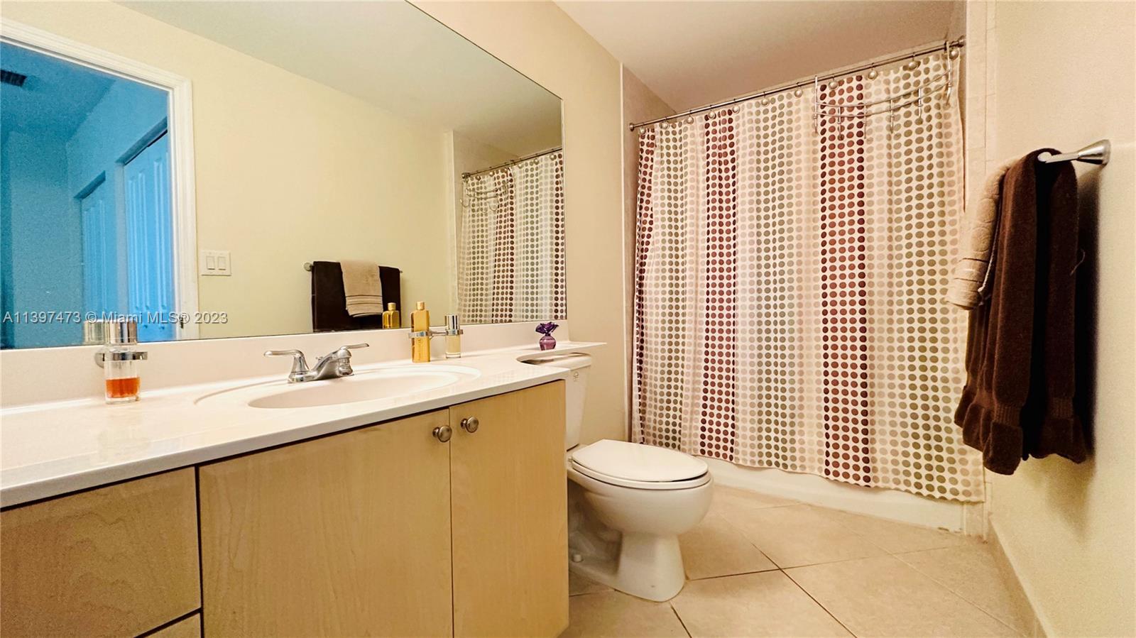 2280 Southwest 32nd Avenue, Unit 315 Miami, FL 33145 - Photo 12 of 21 a bathroom with a sink a toilet and a mirror