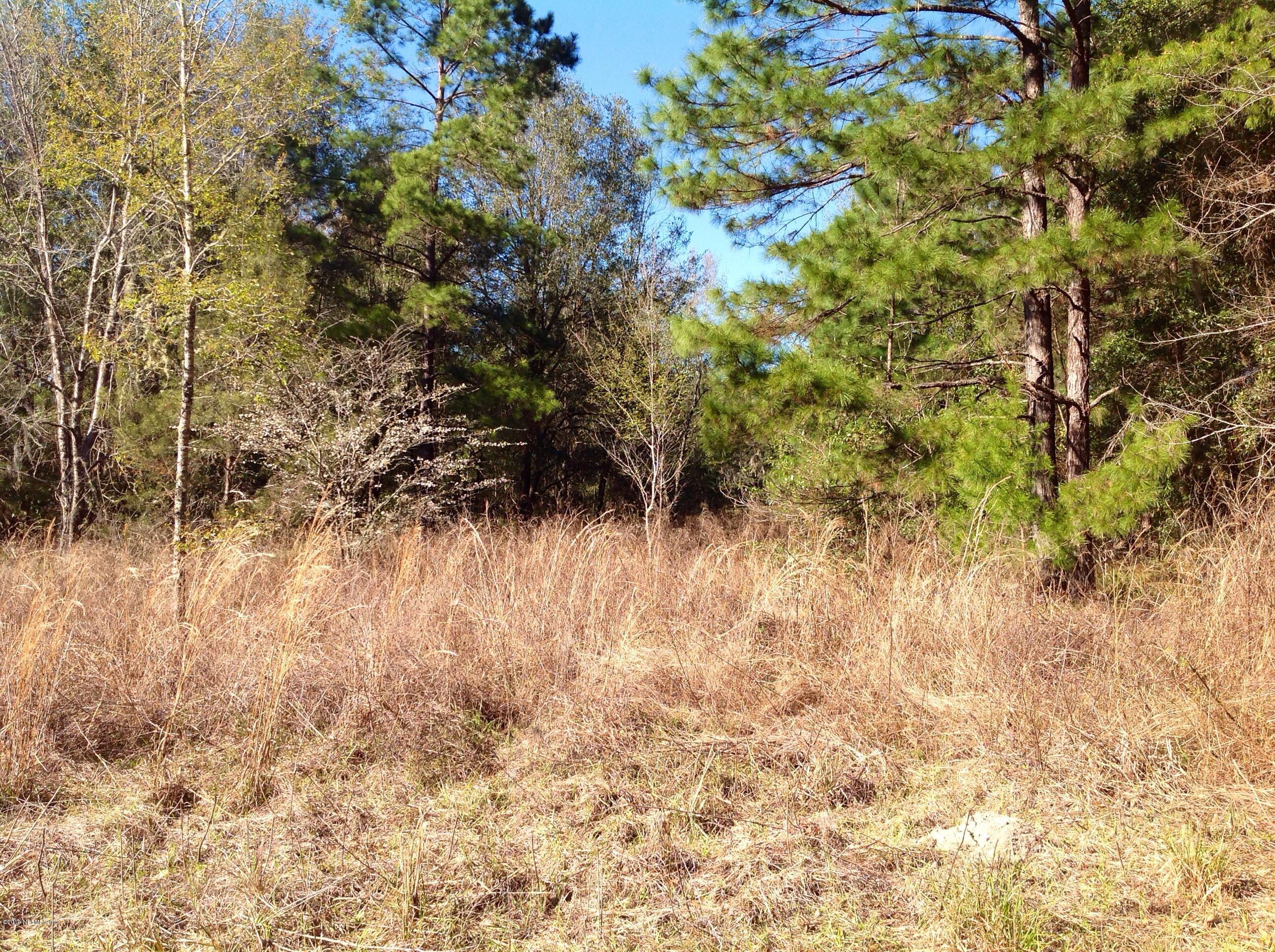 0 Shell Harbour Way Satsuma, FL 32189 - Photo 5 of 9 Property from street