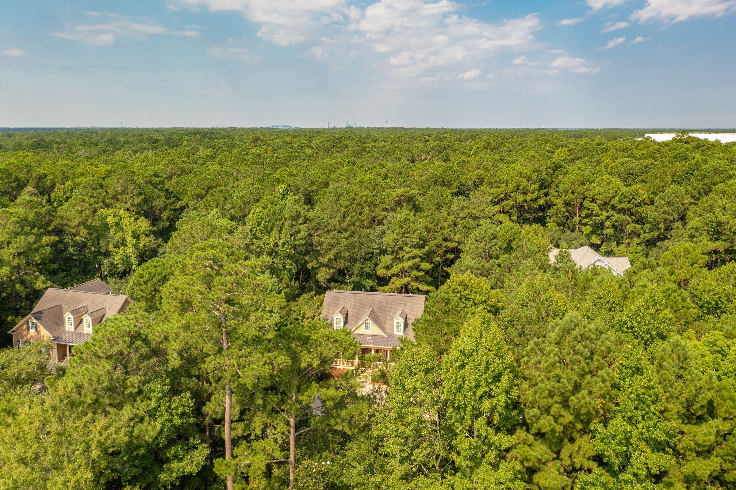 112 Royal Assembly Drive Charleston, SC 29492 - Photo 58 of 76 112RoyalAssemblyDr-KeenEyeMarketing-066