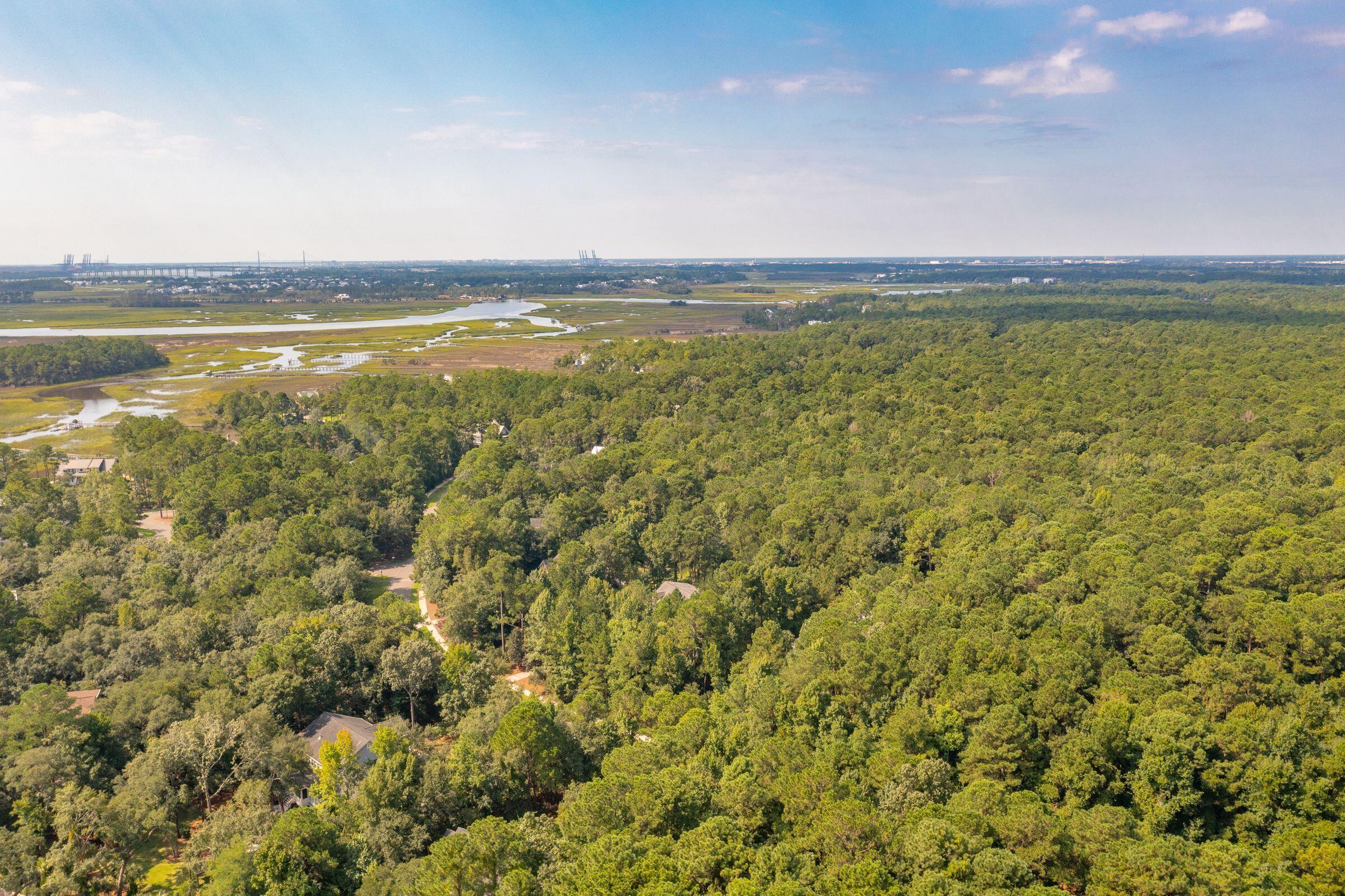 112 Royal Assembly Drive Charleston, SC 29492 - Photo 62 of 76 112RoyalAssemblyDr-KeenEyeMarketing-070