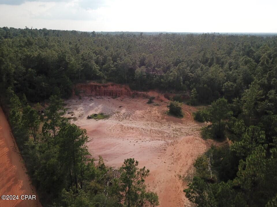 Tbd Chason Road Marianna, FL 32448 - Photo 4 of 16 Gallery Image 4