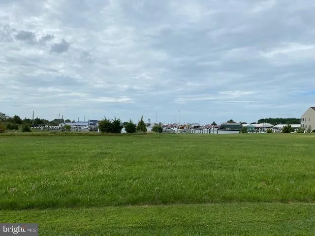 a view of a big yard