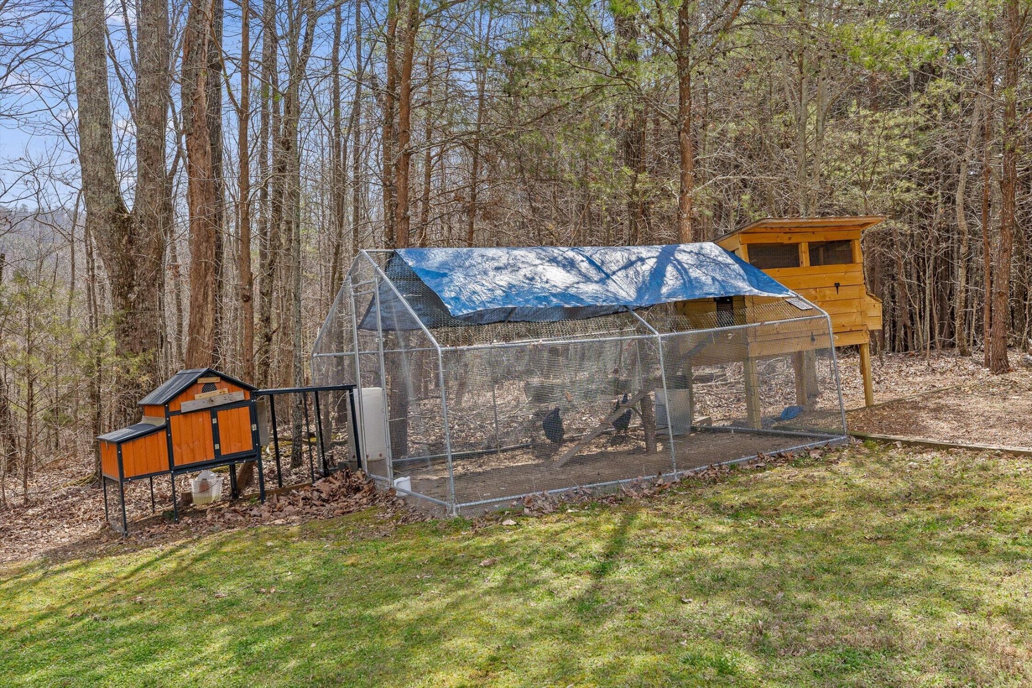 1250 Owl Hollow Road McDonald, TN 37353 - Photo 67 of 87 a view of a backyard with chairs