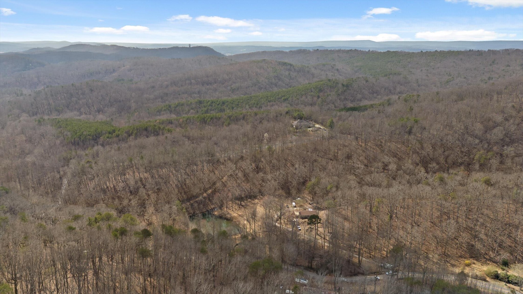 1250 Owl Hollow Road McDonald, TN 37353 - Photo 86 of 87 a view of a dry yard with wooden fence