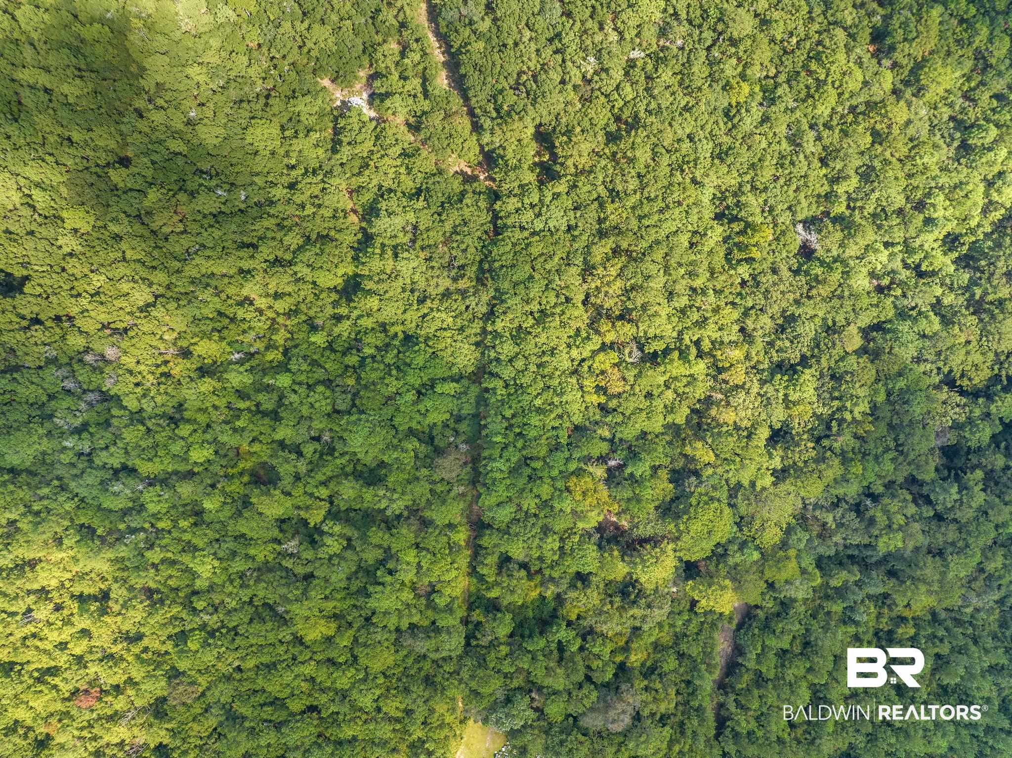 6917 Old Citronelle Road Eight Mile, AL 36613 - Photo 4 of 8 Aerial