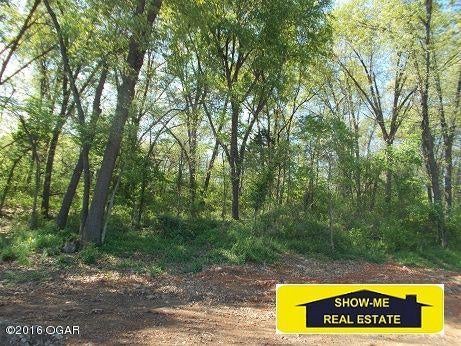 Xx Cemetery Road Neosho, MO 64850 - Photo 1 of 1 Gallery Image 1