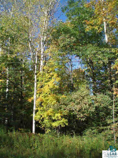 4-xxx Sam Anderson Road Poplar, WI 54864 - Photo 20 of 25