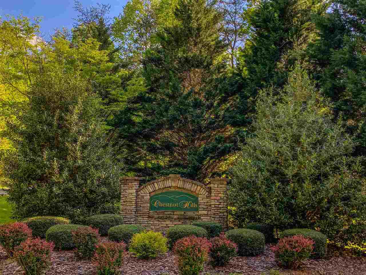 0 Chestnut Hills Lane, Unit LT 10 Blue Ridge, GA 30513 - Photo 1 of 1