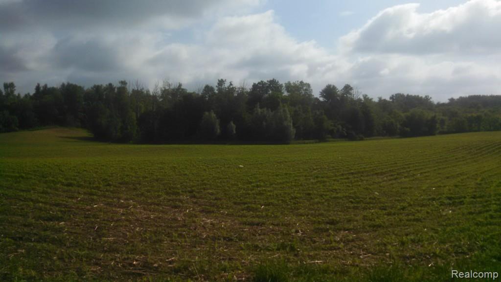 363 South Maple Leaf Road Lapeer, MI 48446 - Photo 2 of 5