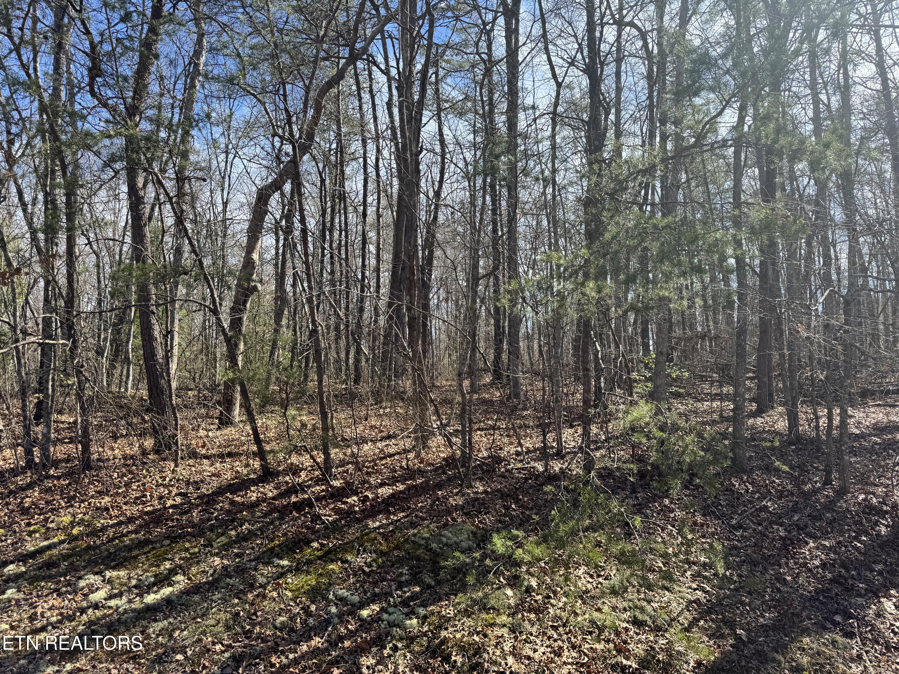 North Laurel Loop Monterey, TN 38574 - Photo 1 of 7 Photo Feb 27 2025, 11 56 42