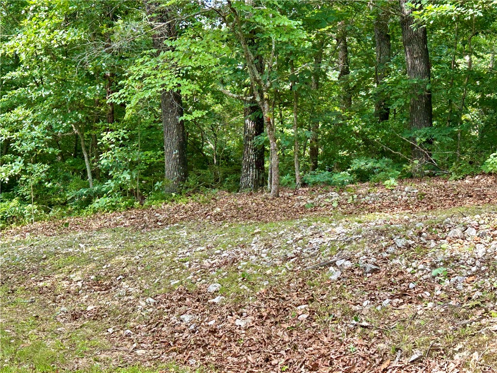 462789 East 820 Road Stilwell, OK 74960 - Photo 35 of 48 Wooded lot featuring mature trees and natural ground cover