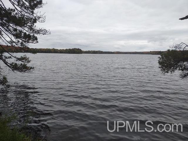 5800 Wolf Lake Road Watersmeet, MI 49969 - Photo 18 of 86