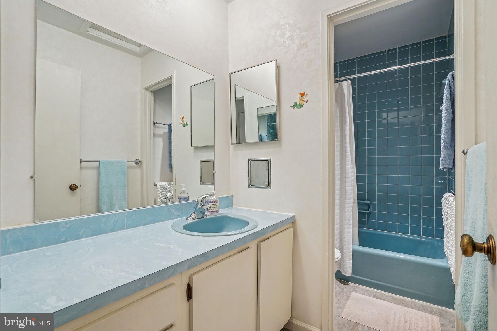 11617 Hunters Green Court Reston, VA 20191 - Photo 26 of 37 Primary Bathroom