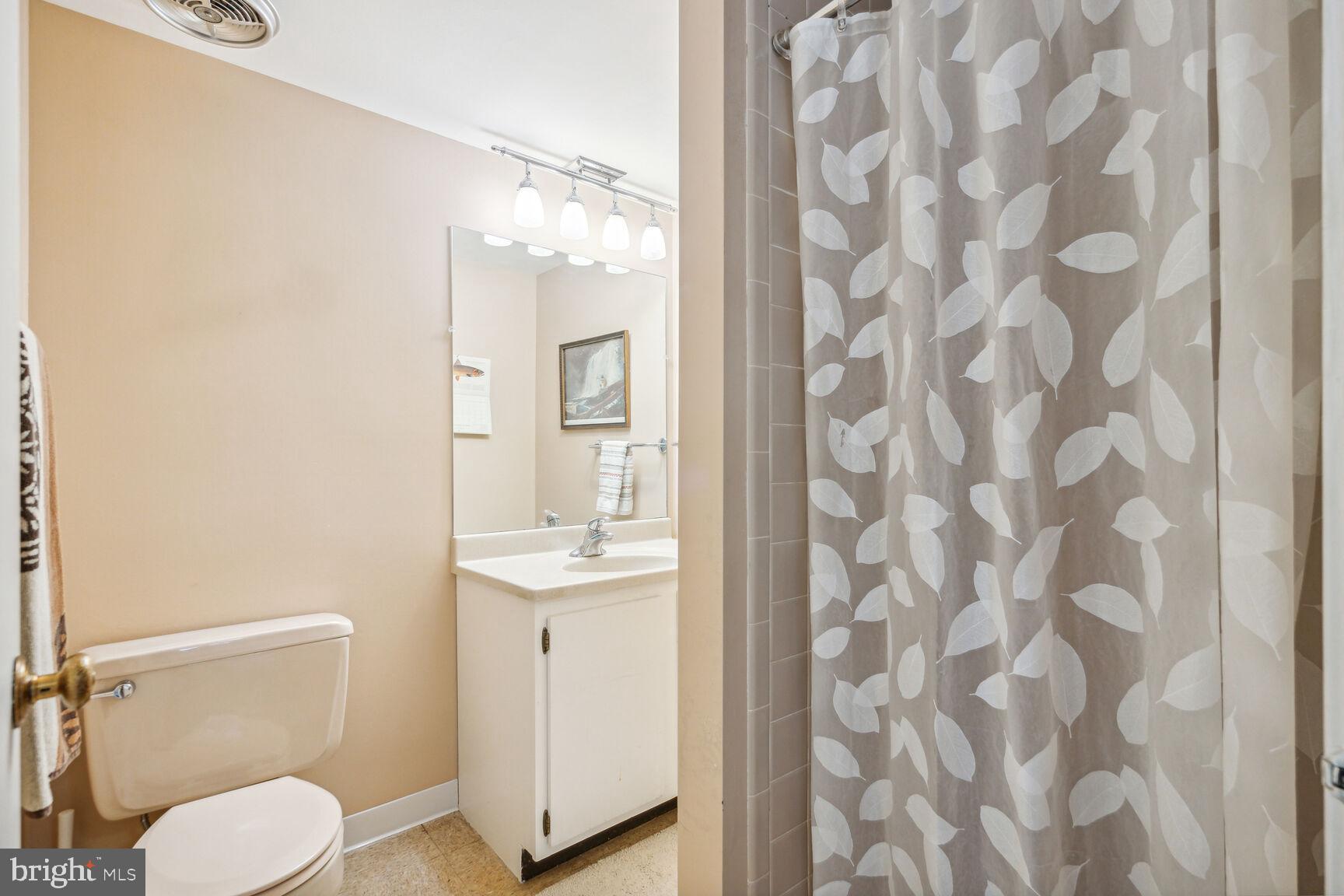 11617 Hunters Green Court Reston, VA 20191 - Photo 31 of 37 Full Bathroom on Lower Level