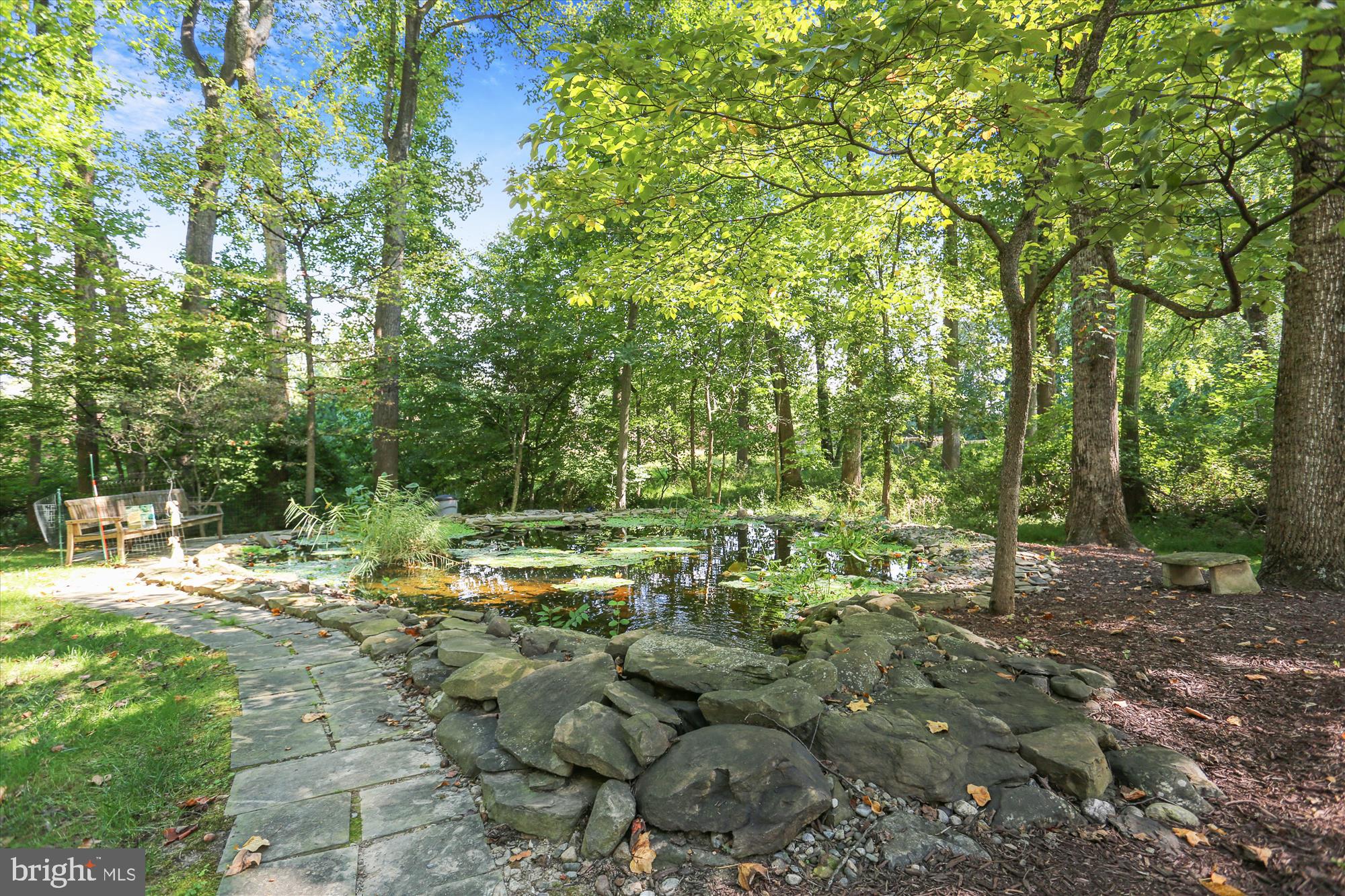 4321 Pinetree Road Rockville, MD 20853 - Photo 10 of 77