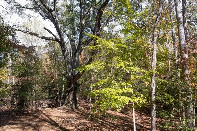 $560,000 | 15 Village View Drive, Sunset, SC 29685