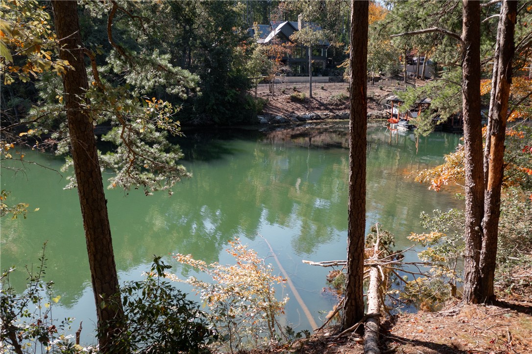 15 Village View Drive Sunset, SC 29685 - Photo 4 of 11