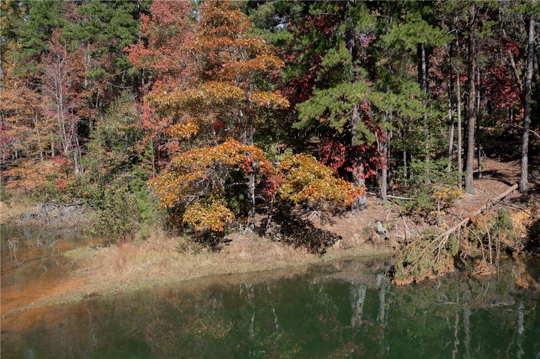 15 Village View Drive Sunset, SC 29685 - Photo 5 of 11