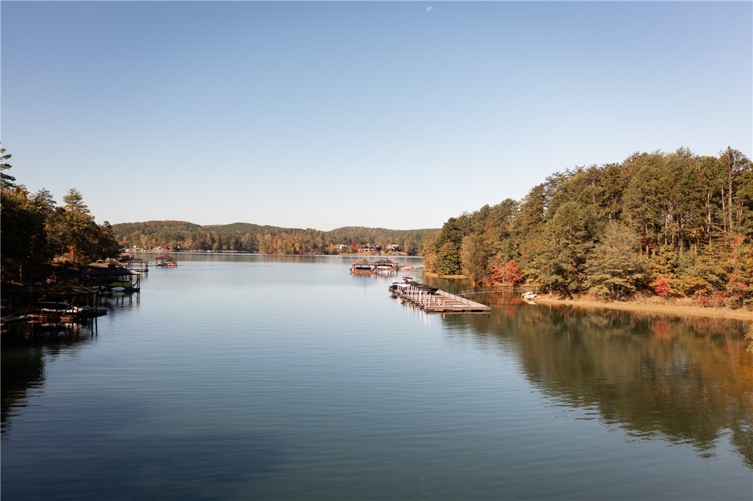 15 Village View Drive Sunset, SC 29685 - Photo 6 of 11