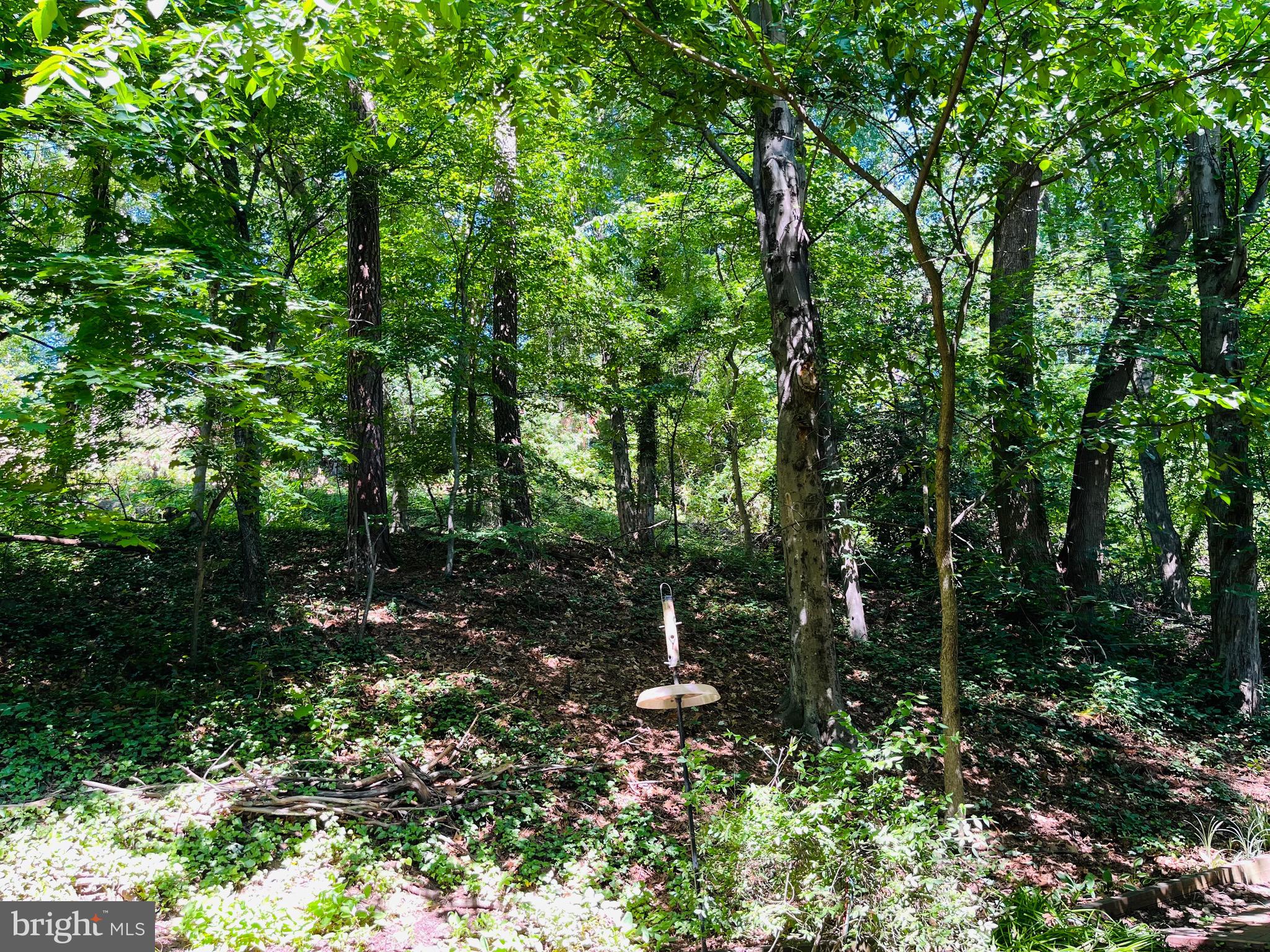 1607 Preston Road Alexandria, VA 22302 - Photo 26 of 29 Gallery Image 26