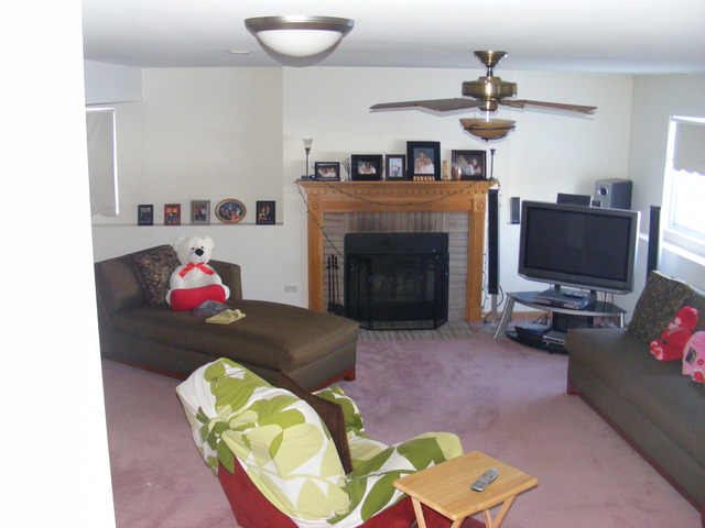 1912 Brimstone Road Romeoville, IL 60446 - Photo 4 of 19