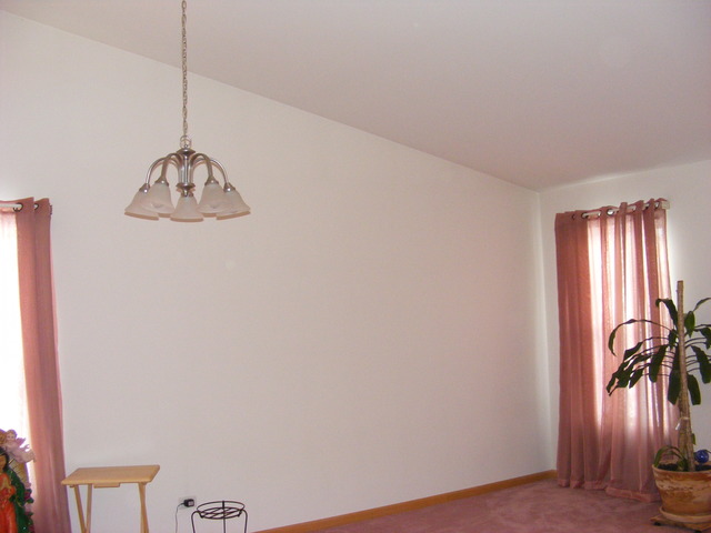 1912 Brimstone Road Romeoville, IL 60446 - Photo 8 of 19