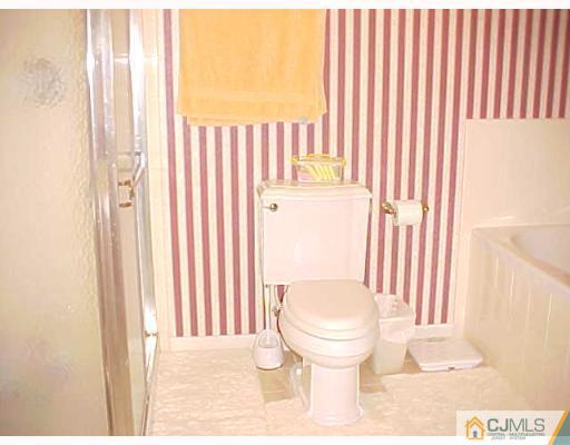 246 Hawthorne Road North Brunswick, NJ 08902 - Photo 3 of 4 a bathroom with a toilet and a shower