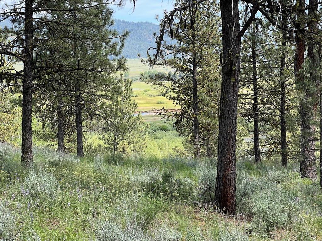 B22-l13 Vardon Road, Unit 13 New Meadows, ID 83654 - Photo 3 of 16