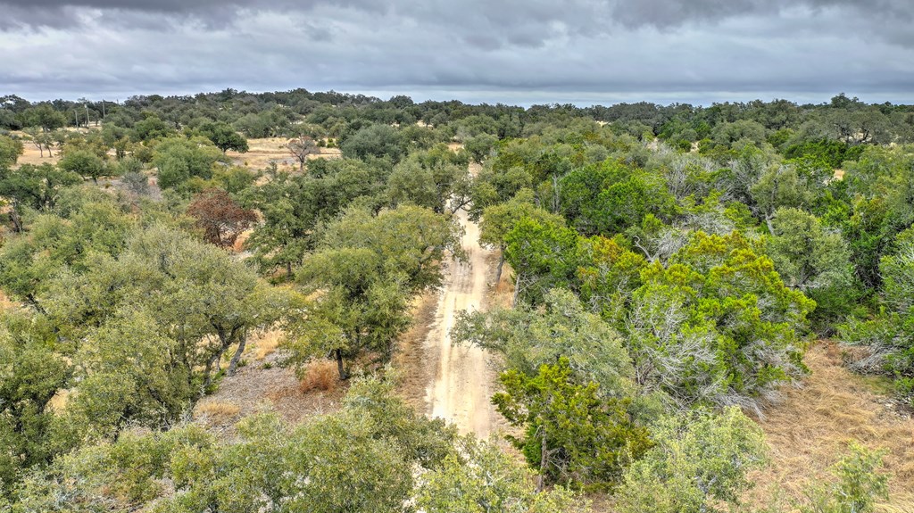 812 Byas Springs Road Mountain Home, TX 78058 - Photo 41 of 56