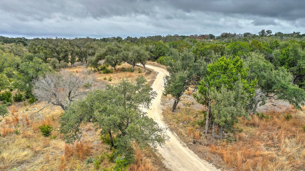 812 Byas Springs Road Mountain Home, TX 78058 - Photo 43 of 56