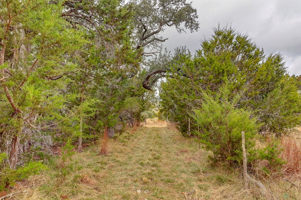 812 Byas Springs Road Mountain Home, TX 78058 - Photo 45 of 56