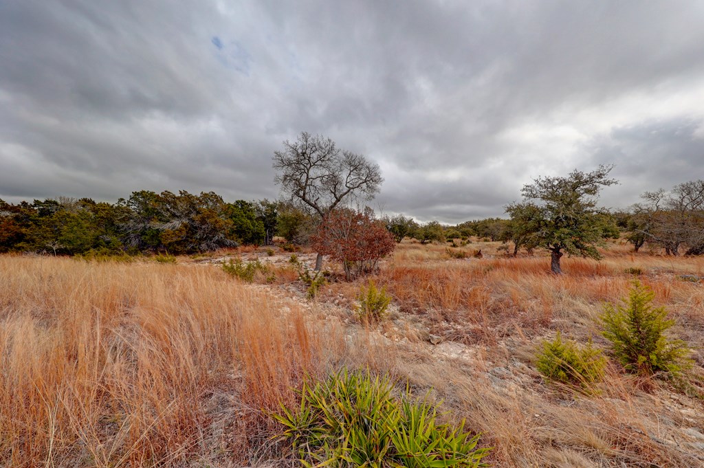 812 Byas Springs Road Mountain Home, TX 78058 - Photo 48 of 56