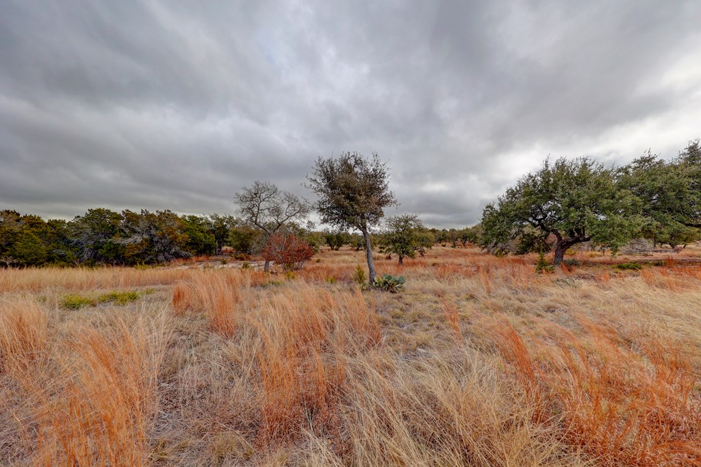 812 Byas Springs Road Mountain Home, TX 78058 - Photo 49 of 56