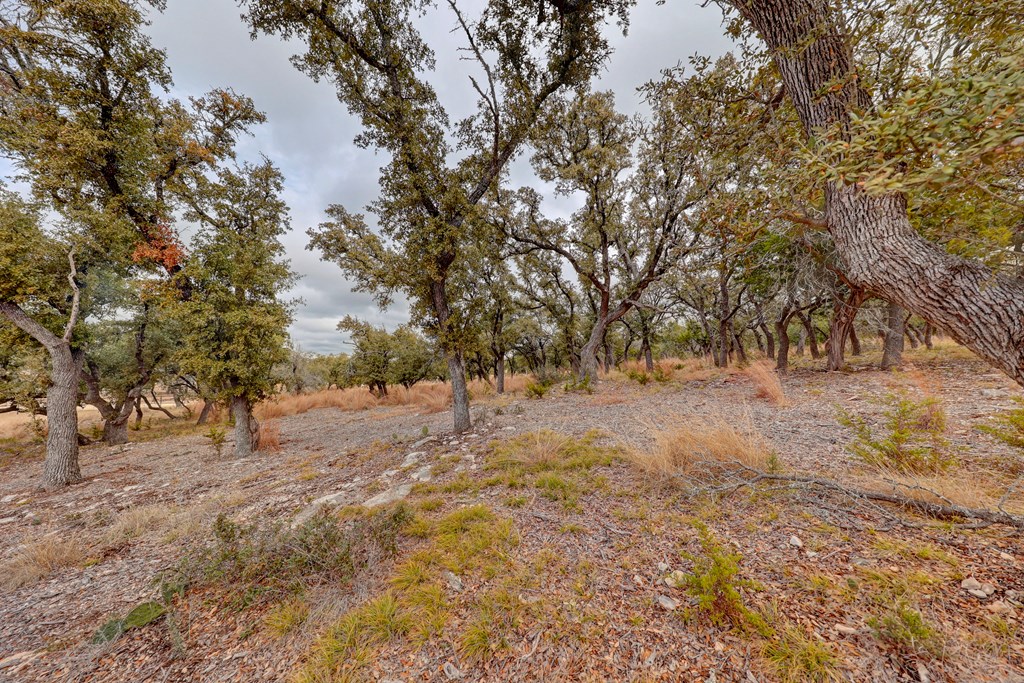 812 Byas Springs Road Mountain Home, TX 78058 - Photo 50 of 56