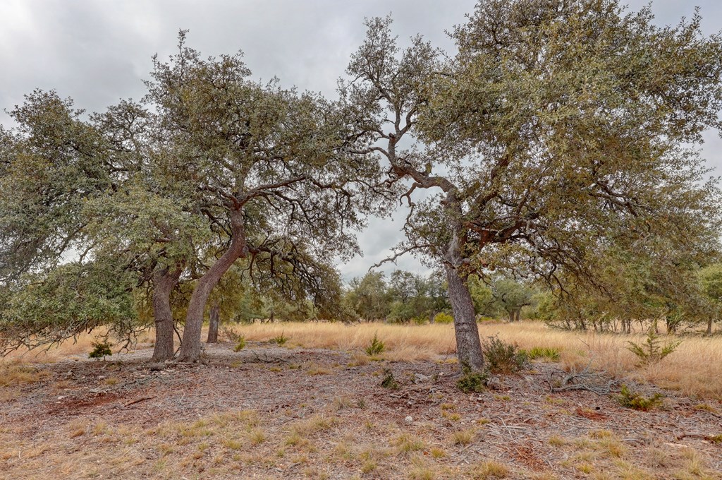 812 Byas Springs Road Mountain Home, TX 78058 - Photo 55 of 56