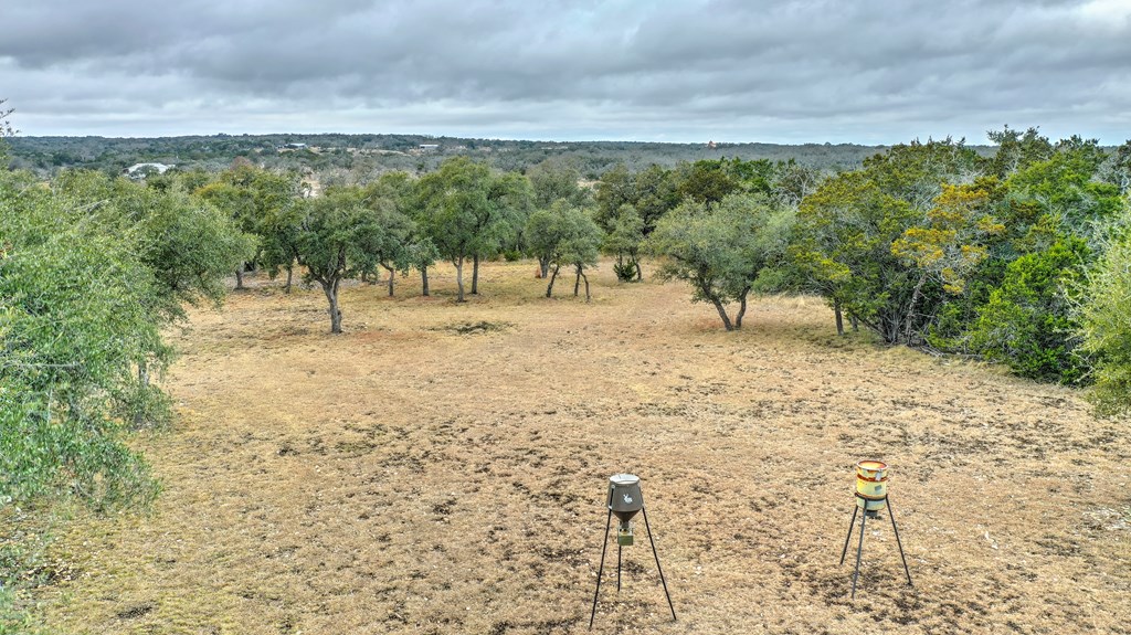 812 Byas Springs Road Mountain Home, TX 78058 - Photo 7 of 56