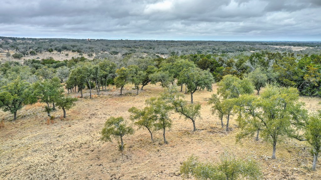 812 Byas Springs Road Mountain Home, TX 78058 - Photo 8 of 56