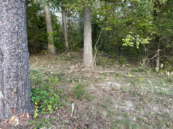 $155,000 | 453 Statem Gap Road, Morristown, TN 37813