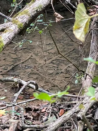 $155,000 | 453 Statem Gap Road, Morristown, TN 37813