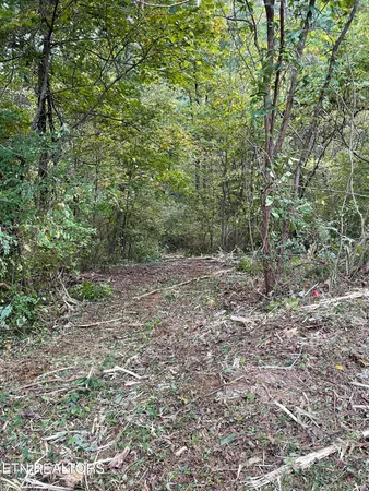 $155,000 | 453 Statem Gap Road, Morristown, TN 37813