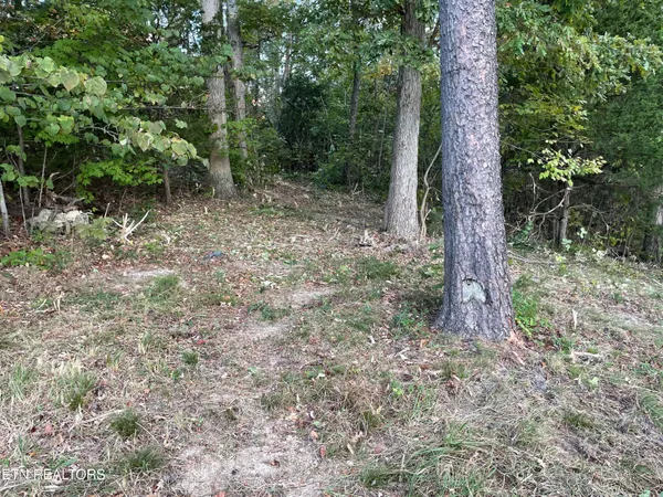 $155,000 | 453 Statem Gap Road, Morristown, TN 37813