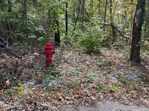 $155,000 | 453 Statem Gap Road, Morristown, TN 37813