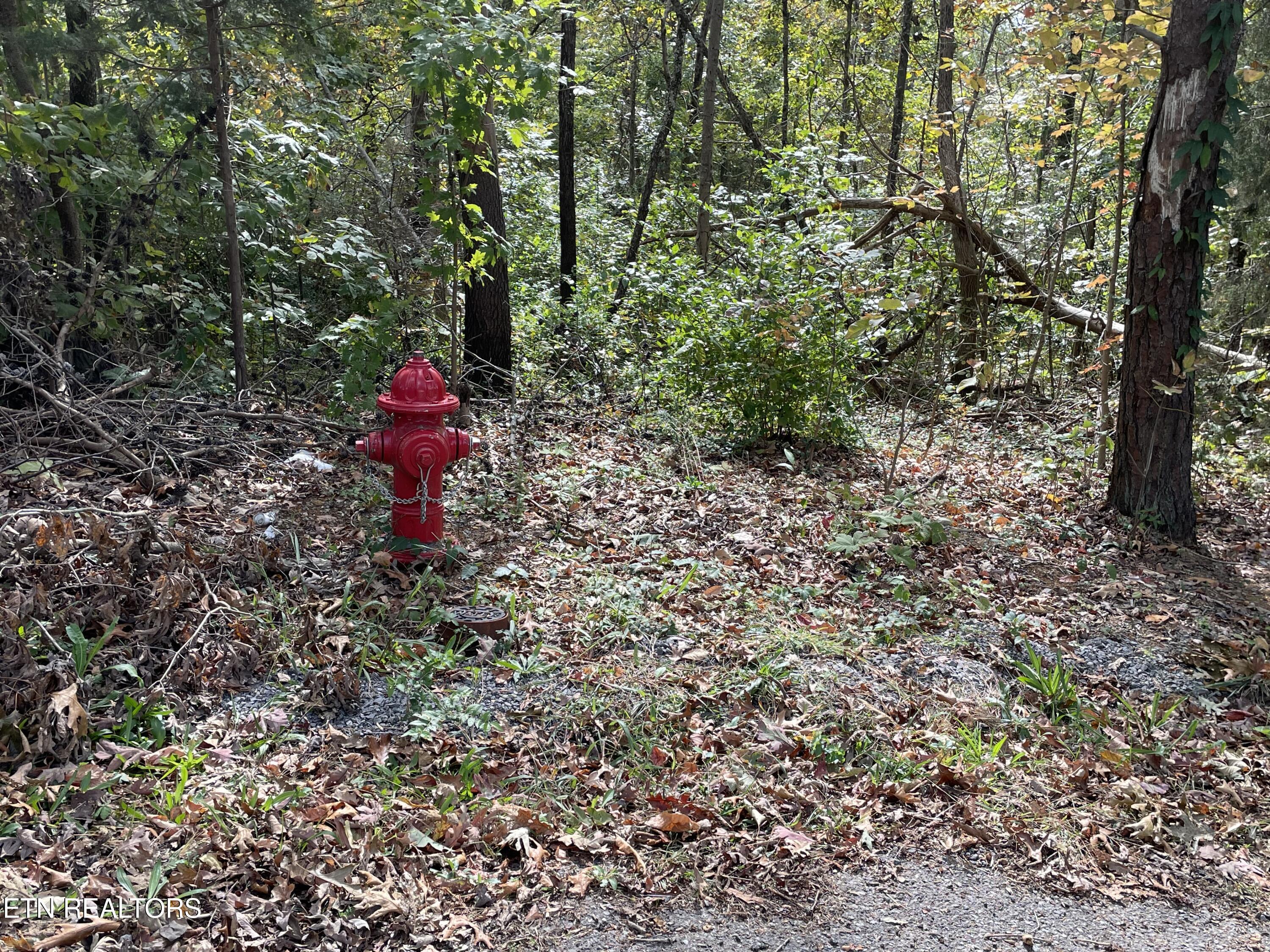 453 Statem Gap Road Morristown, TN 37813 - Photo 3 of 30 IMG_6977