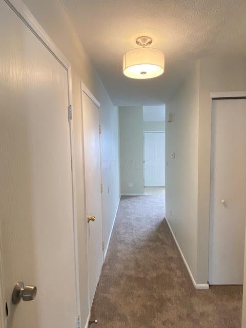 4894 Drayton Road Hilliard, OH 43026 - Photo 4 of 18