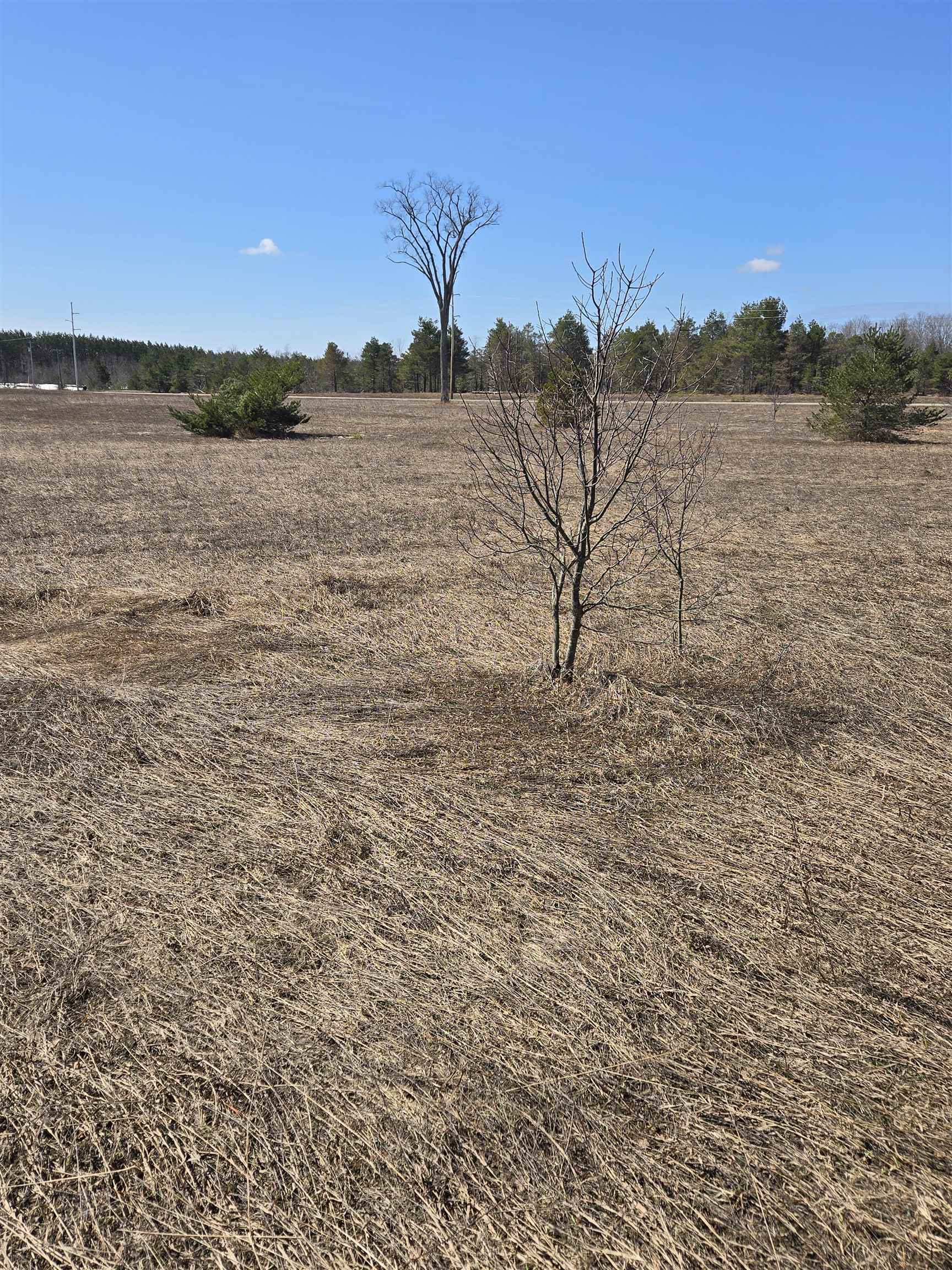 B Johnson Road, Unit LOT: B Mancelona, MI 49659 - Photo 17 of 48
