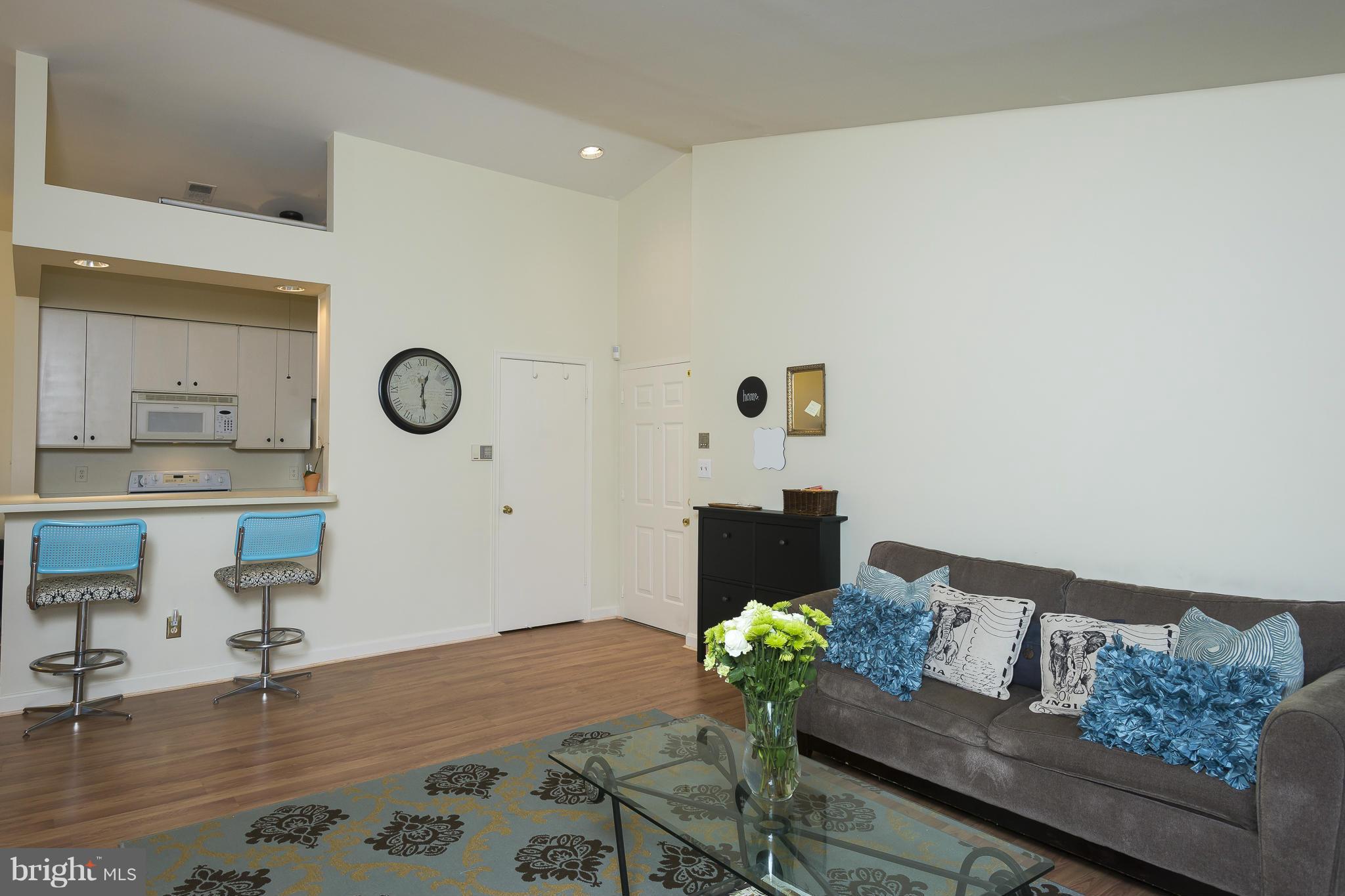 13703 Modrad Way, Unit 9B31 Silver Spring, MD 20904 - Photo 6 of 20 Family Room