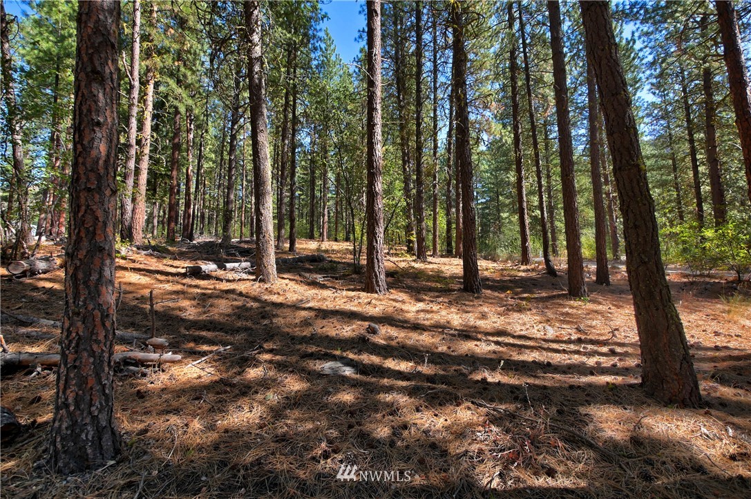 4 Cassal Road Winthrop, WA 98862 - Photo 13 of 25 Gallery Image 13